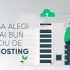 Avantajele si dezavantajele unei gazduiri VPS