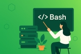 Bash scripting avansat pentru administrare server eficienta