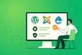 Ghid Comparativ: WordPress, Joomla vs Drupal