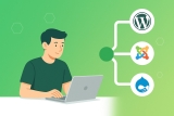 Intelegerea CMS-urilor: Alegerea intre WordPress, Joomla si altele