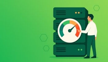 Strategii de optimizare a performantei gazduirii