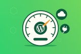 Cum sa optimizezi plugin-urile WordPress pentru viteza