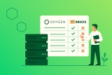 Oxygen vs Bricks: Alegerea Builder-ului Potrivit