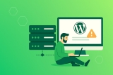 Rezolvarea Erorilor de Conexiune la Baza de Date in WordPress