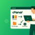 Pluginuri WordPress Esentiale pentru Securitate