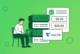 Vultr: Optiuni VPS la Costuri Reduse